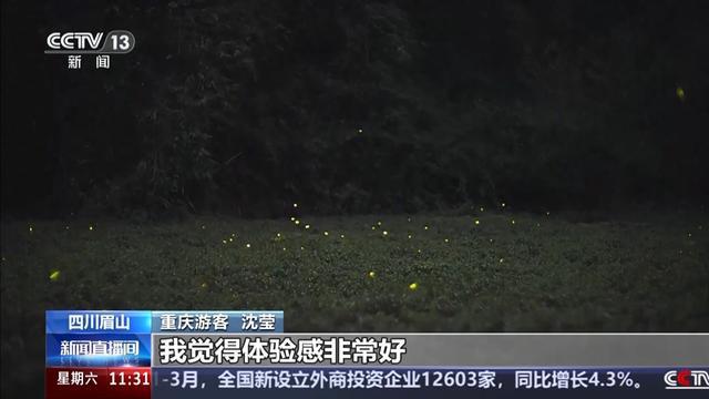 速来打卡 青神萤火虫 竹编体验 朋友圈九宫格都不够发