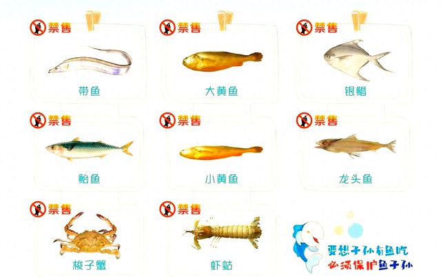 今起浙江全面进入休渔期 8种海产品8日起禁售