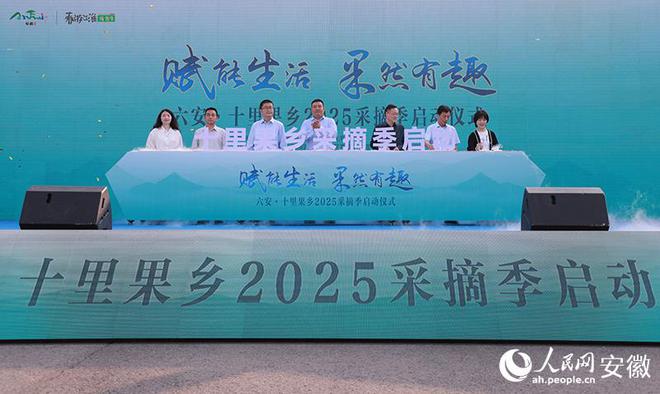 六安・“十里果乡”2025采摘季启幕